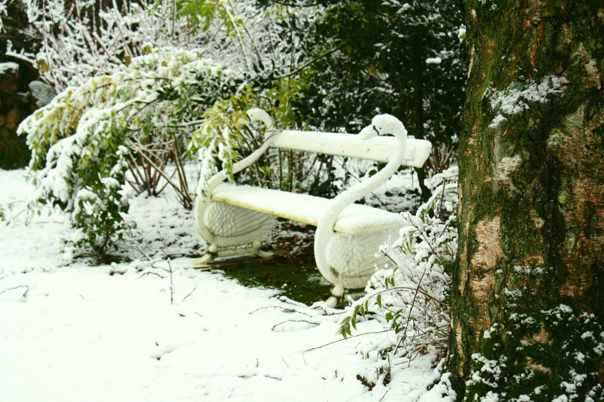 Bed & Breakfast Swaenenvecht