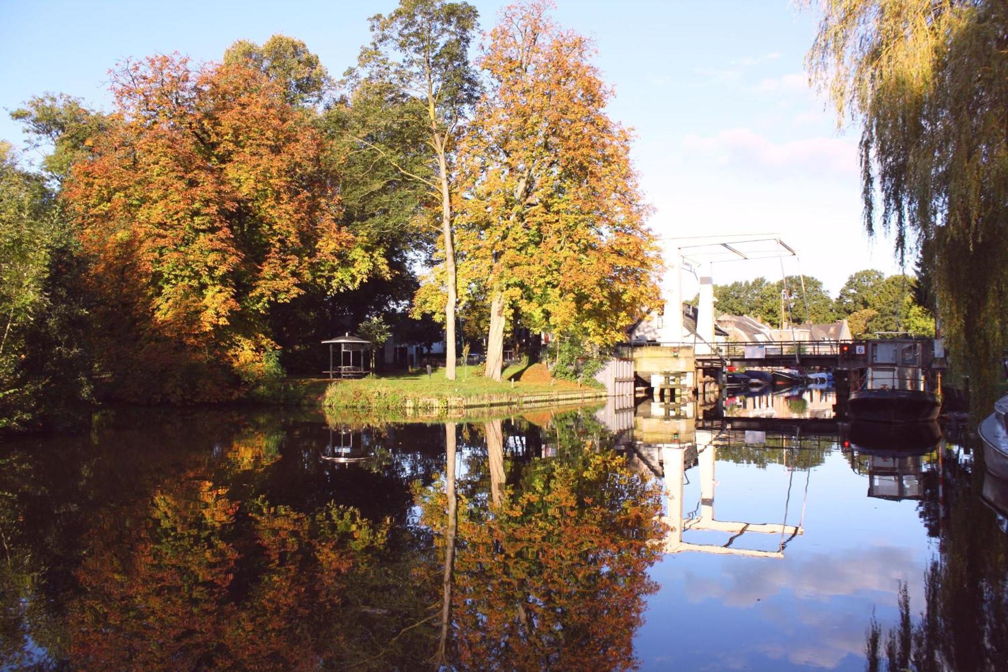 Bed & Breakfast Swaenenvecht